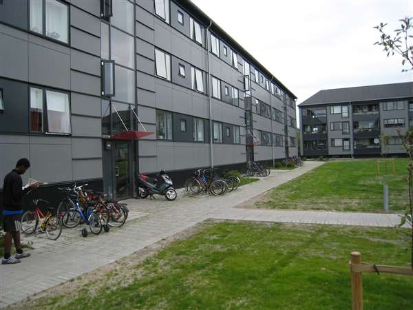 Eksempel