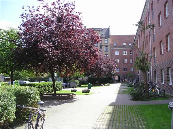 Eksempel