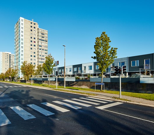t13-silergaarden_bovest_3.jpg
