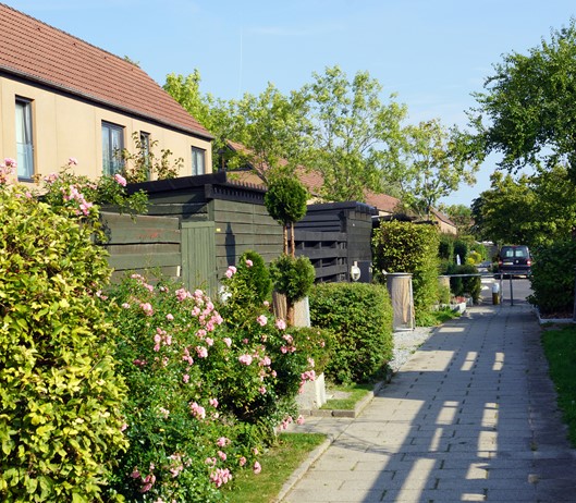 Gadekaeret1_VA_BOVEST