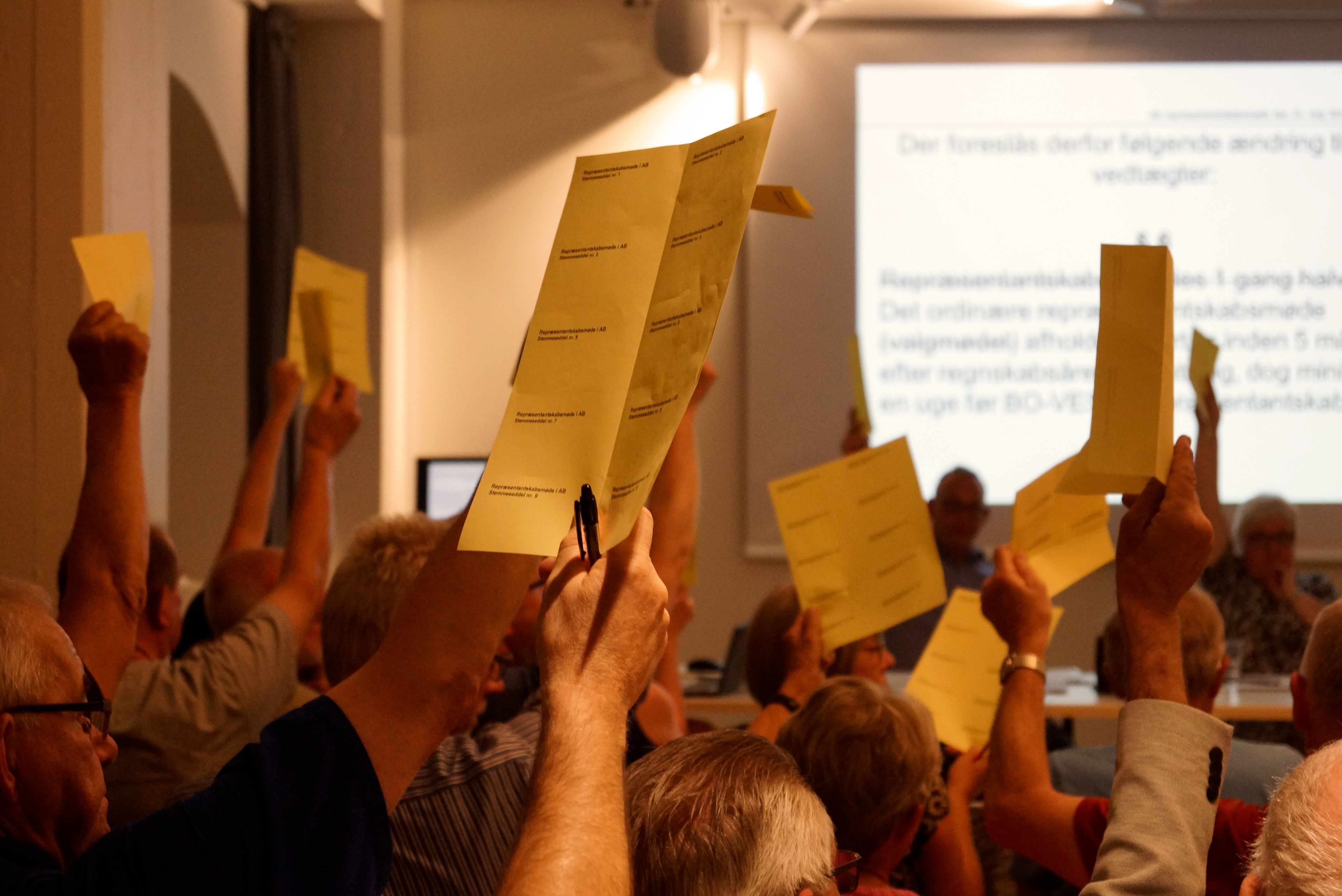 AB repræsentantskab stemmesedler