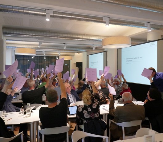 BO-VEST repræsemtamtskab 2019