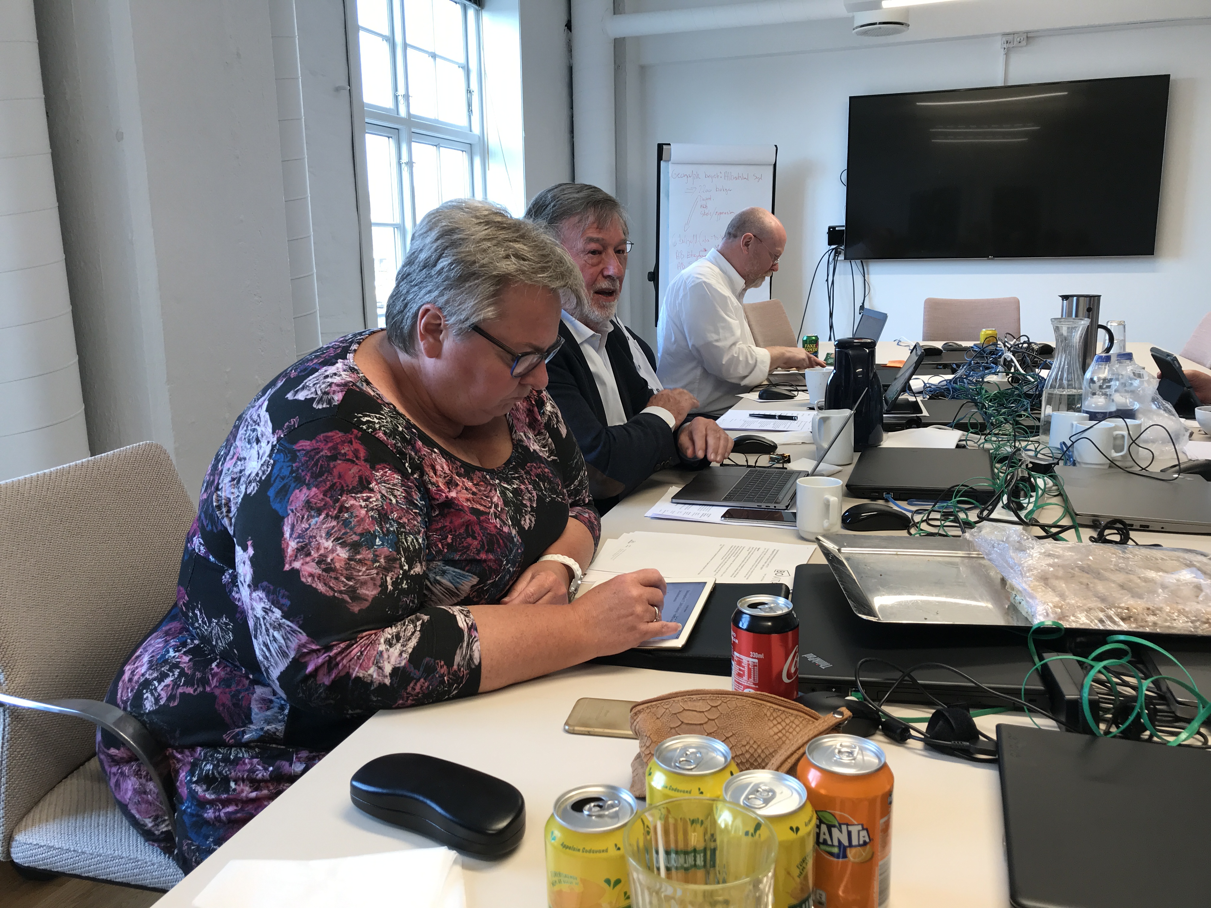 3jan orienterer.jpeg