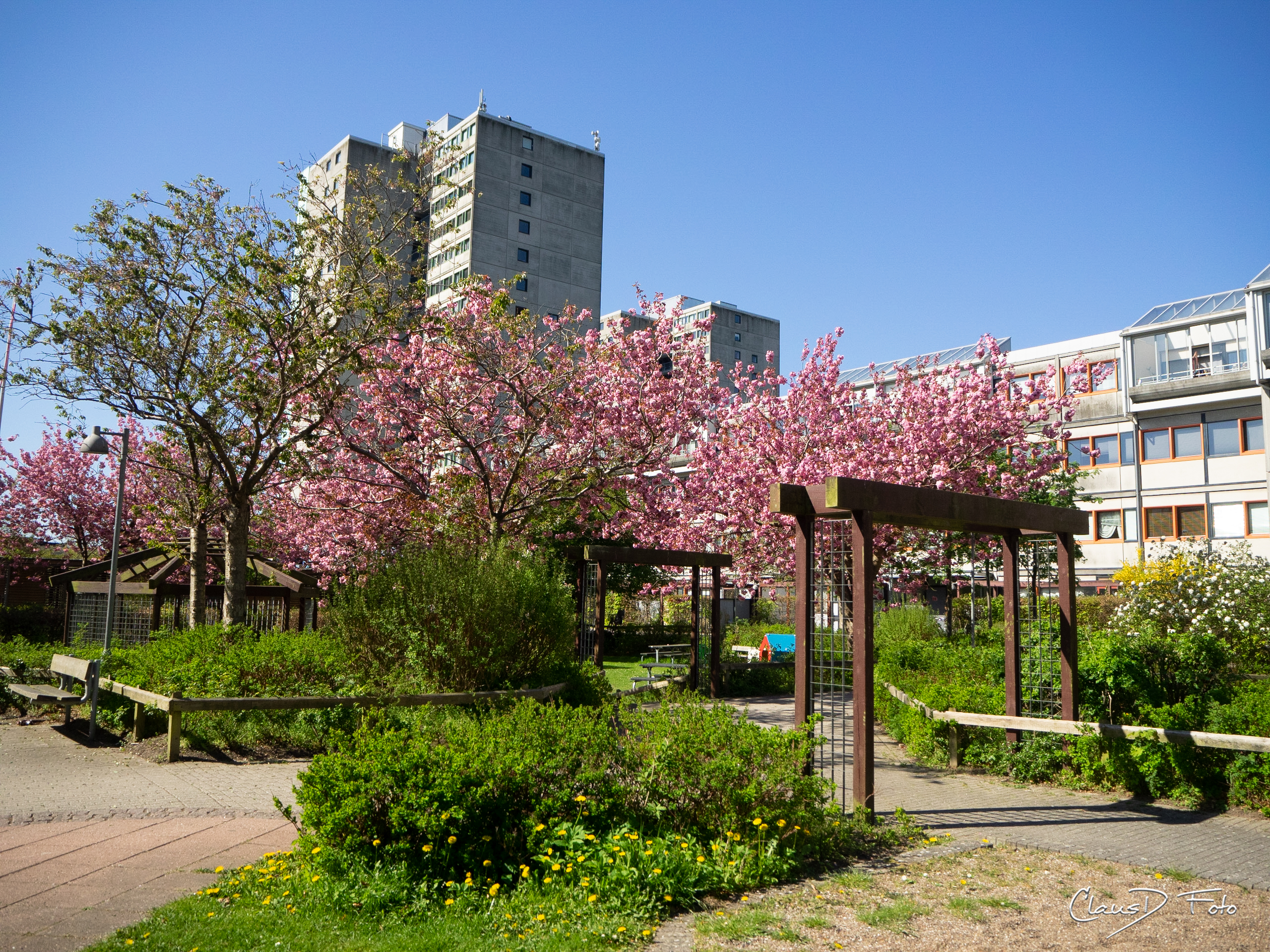 12-13 Særlig undersøgelse udsætter nedrivning 1 ud af 2.jpg