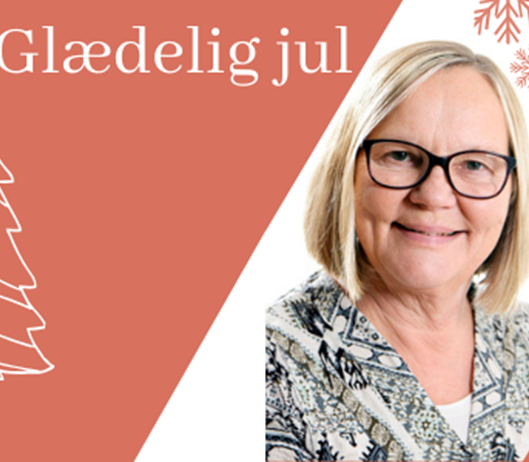 Vinie ønsker glædelig jul (Nyhedsbrev).png