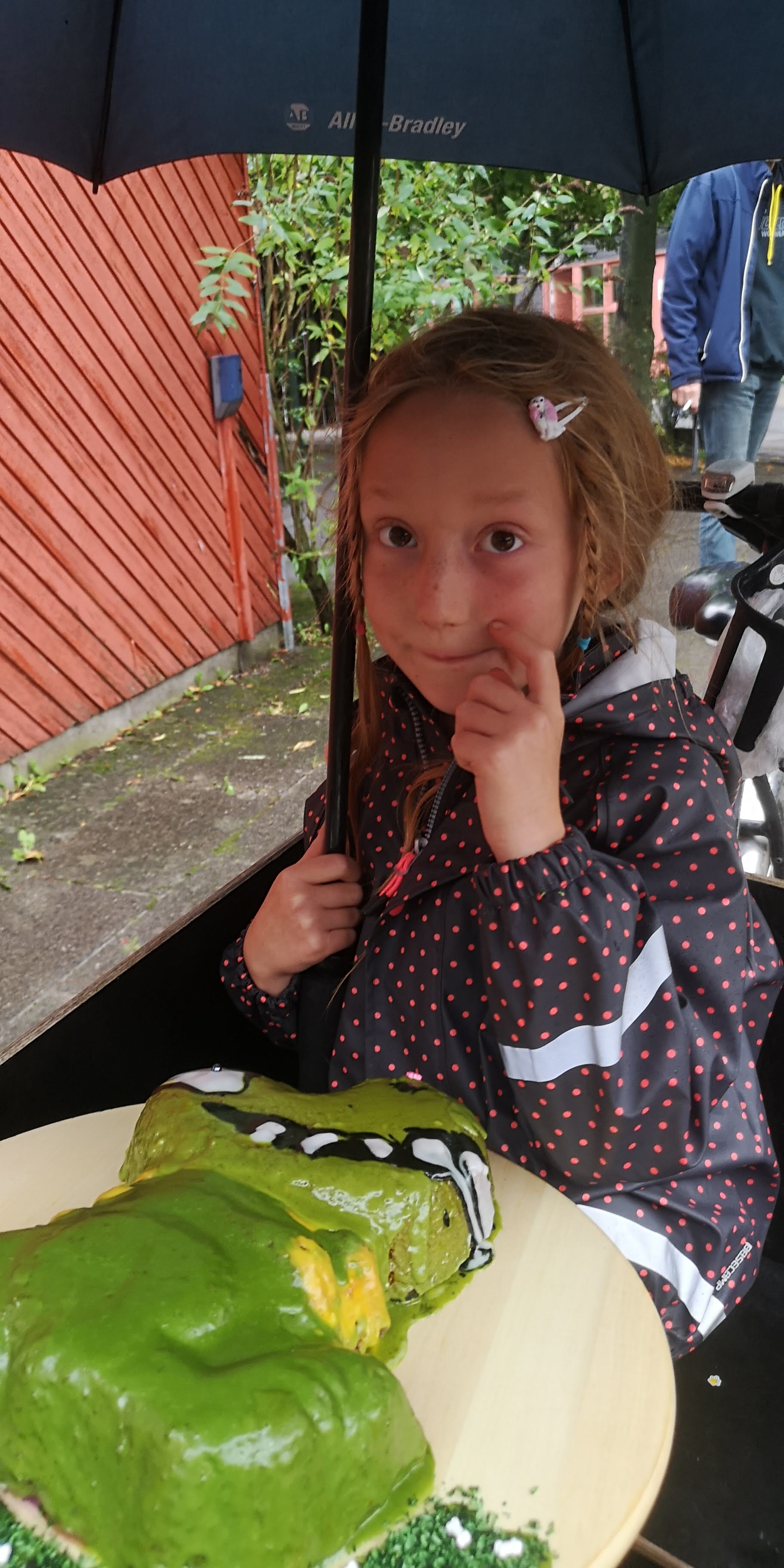 Klar til kagekonkurrencen.jpg