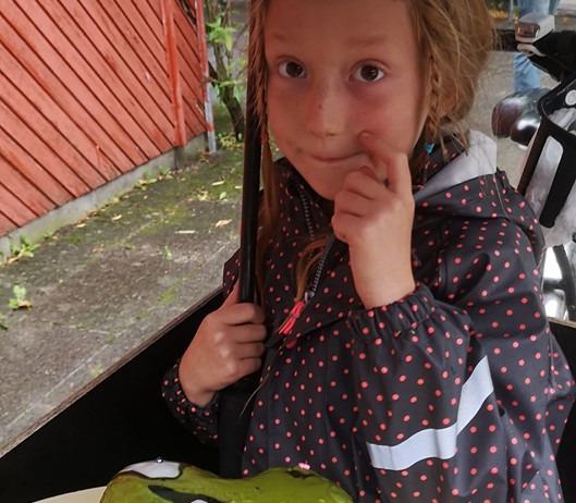 Klar til kagekonkurrencen.jpg