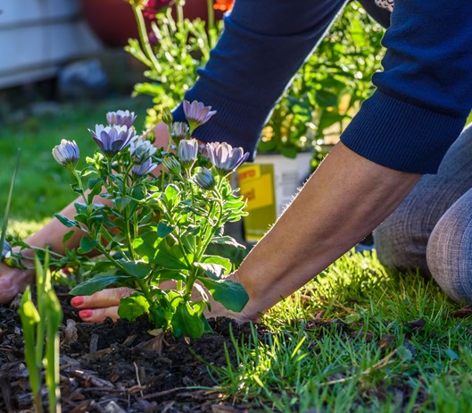 biodiv startpakke.jpg